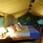 Elephant Valley Lodge: Meru Style Tent