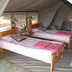 Ishasha Tented Camp: Guest Tent